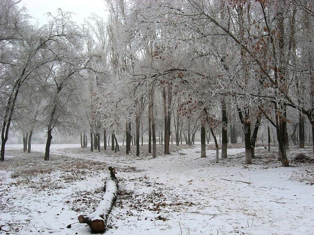 � ��������� � ������... ����� Natali  ��������� �� PhotoGeek.ru #������ ��� ������� #����� ��������������