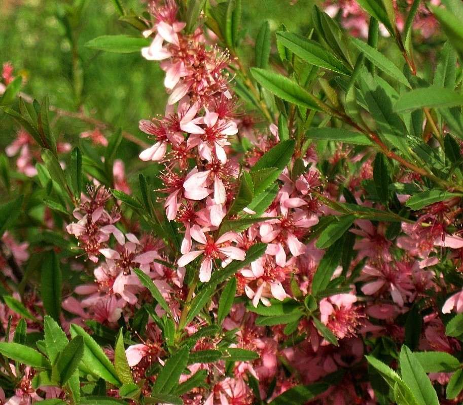 �������� ������ ����� Natali  ��������� �� PhotoGeek.ru #������ ��� ������� #����� ��������������