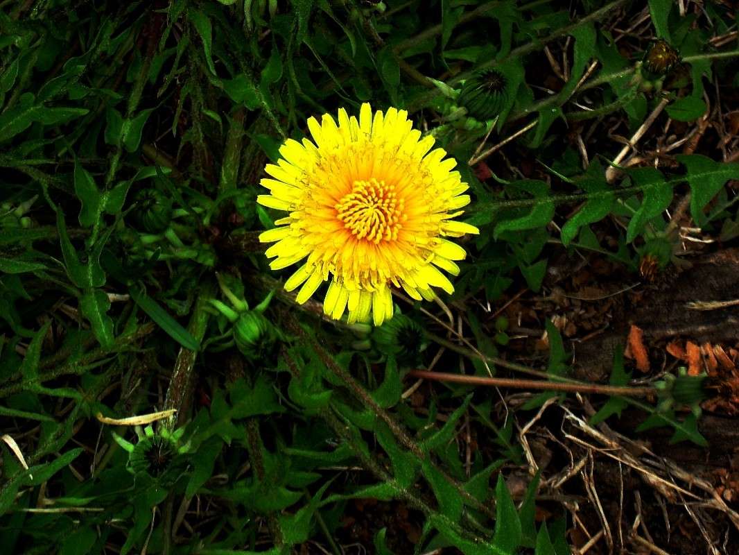 ������...) ����� Natali  ��������� �� PhotoGeek.ru #������ ��� ������� #����� ��������������