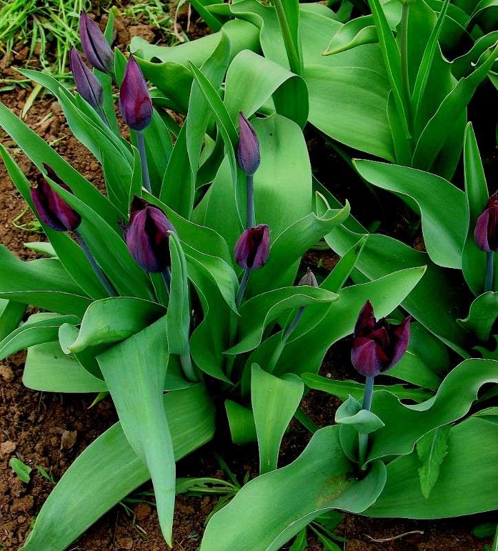 ��������... ����� Natali  ��������� �� PhotoGeek.ru #������ ��� ������� #����� ��������������