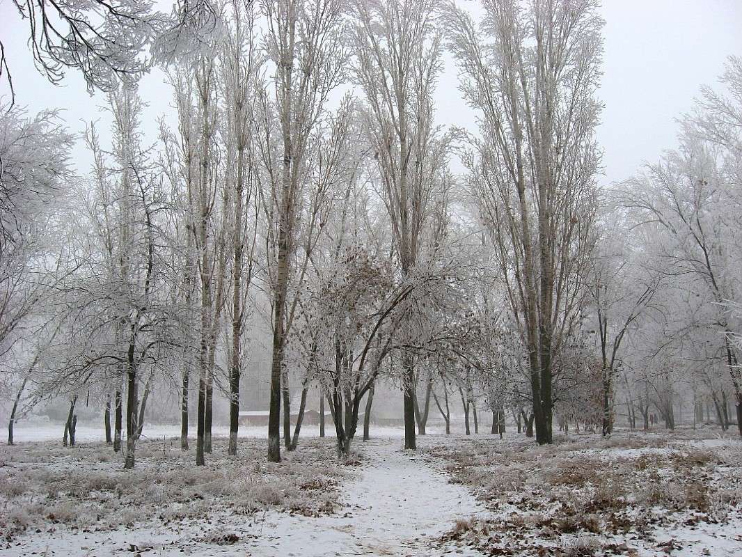 ��� ����� ... ����� Natali  ��������� �� PhotoGeek.ru #������ ��� �������