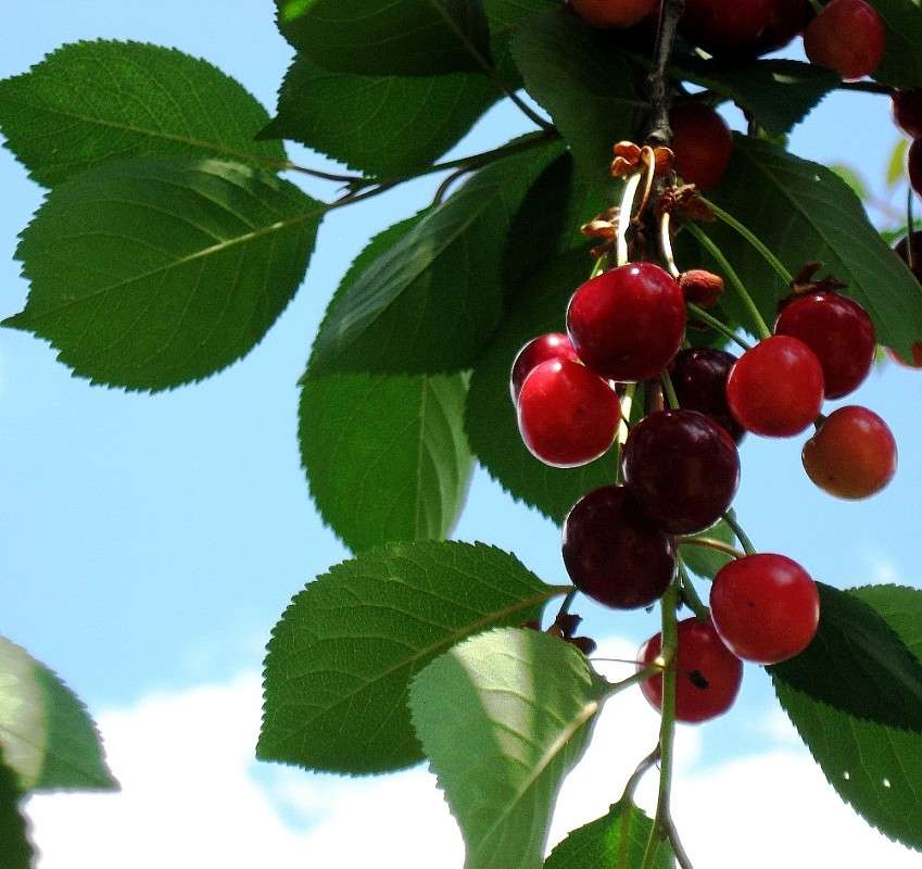 ������� ����� ����� Natali  ��������� �� PhotoGeek.ru #������ ��� ������� #����� ��������������