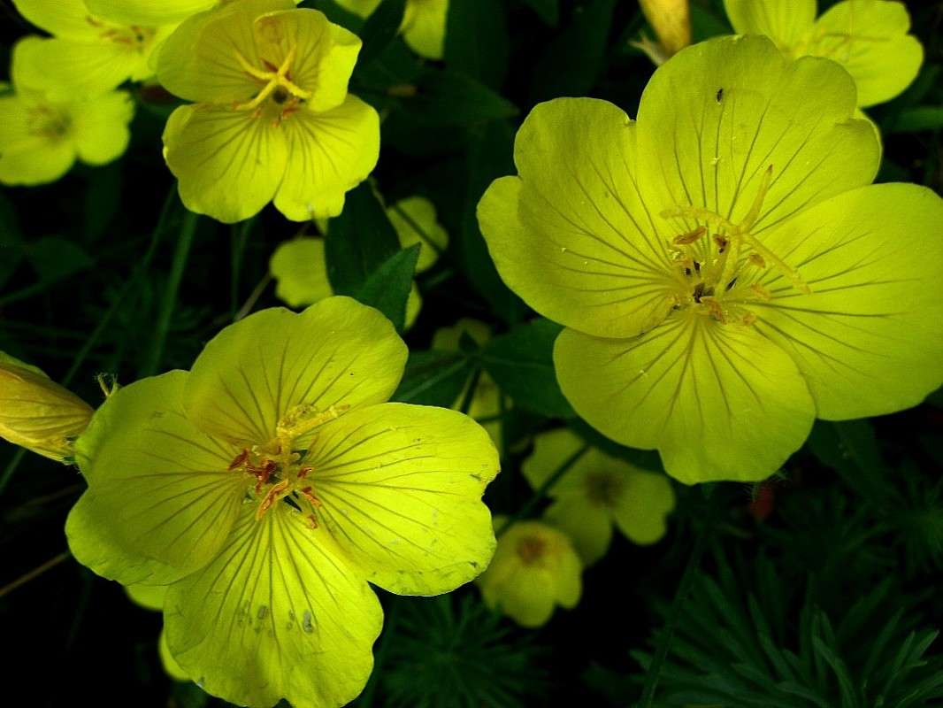 ������� ���� ...2 ����� Natali  ��������� �� PhotoGeek.ru #������ ��� ������� #����� ��������������