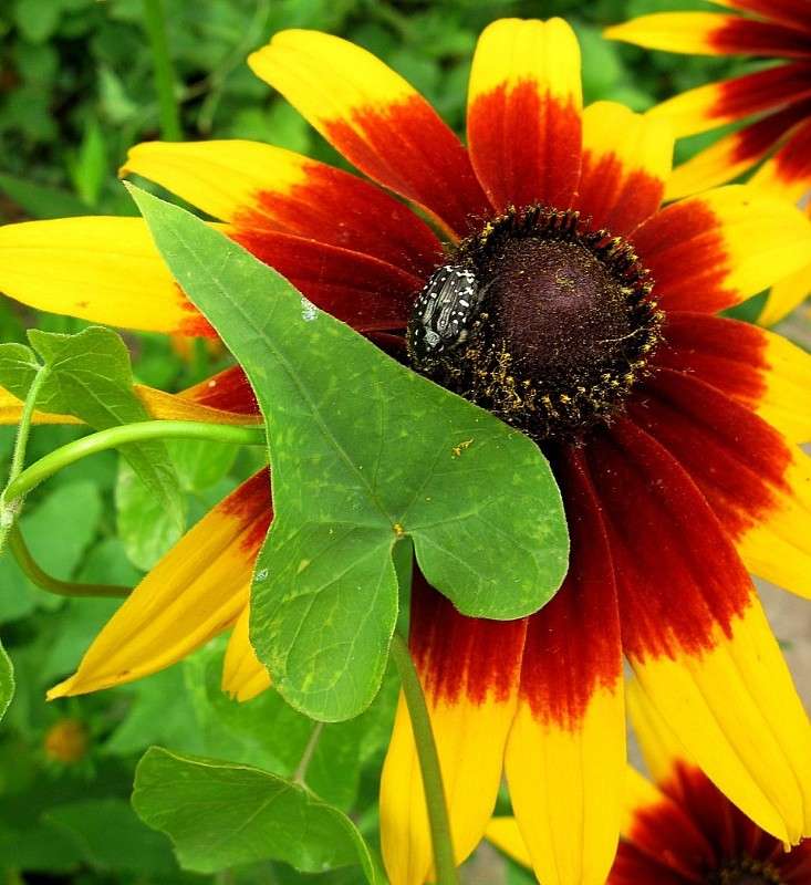 ������� ���� ����� Natali  ��������� �� PhotoGeek.ru #������ ��� ������� #����� ��������������