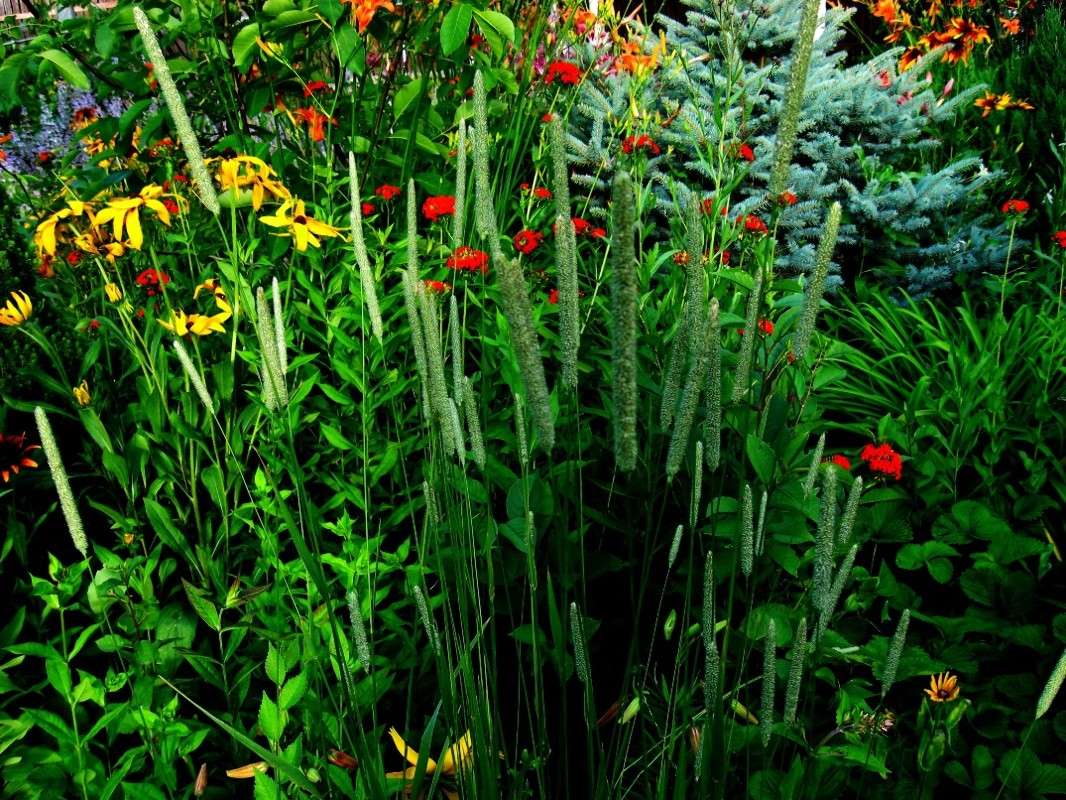 ������ ����, ��, ����, �������...) ����� Natali  ��������� �� PhotoGeek.ru #������ ��� ������� #����� ��������������