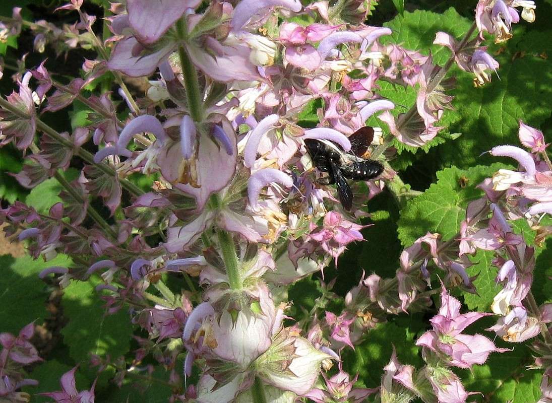 ������ �� ������ ...) ����� Natali  ��������� �� PhotoGeek.ru #�������� ��� #������ ��� ������� #����� ��������������