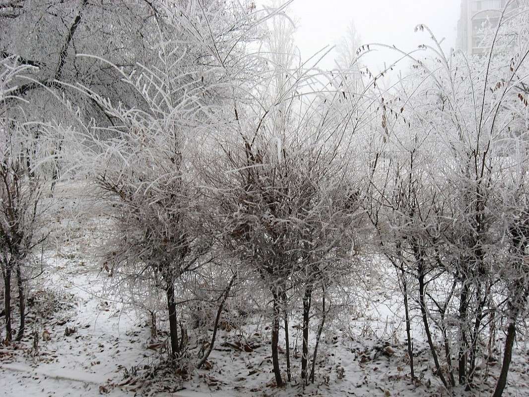 � �������� � ������ ����� Natali  ��������� �� PhotoGeek.ru #������ ��� ������� #����� ��������������