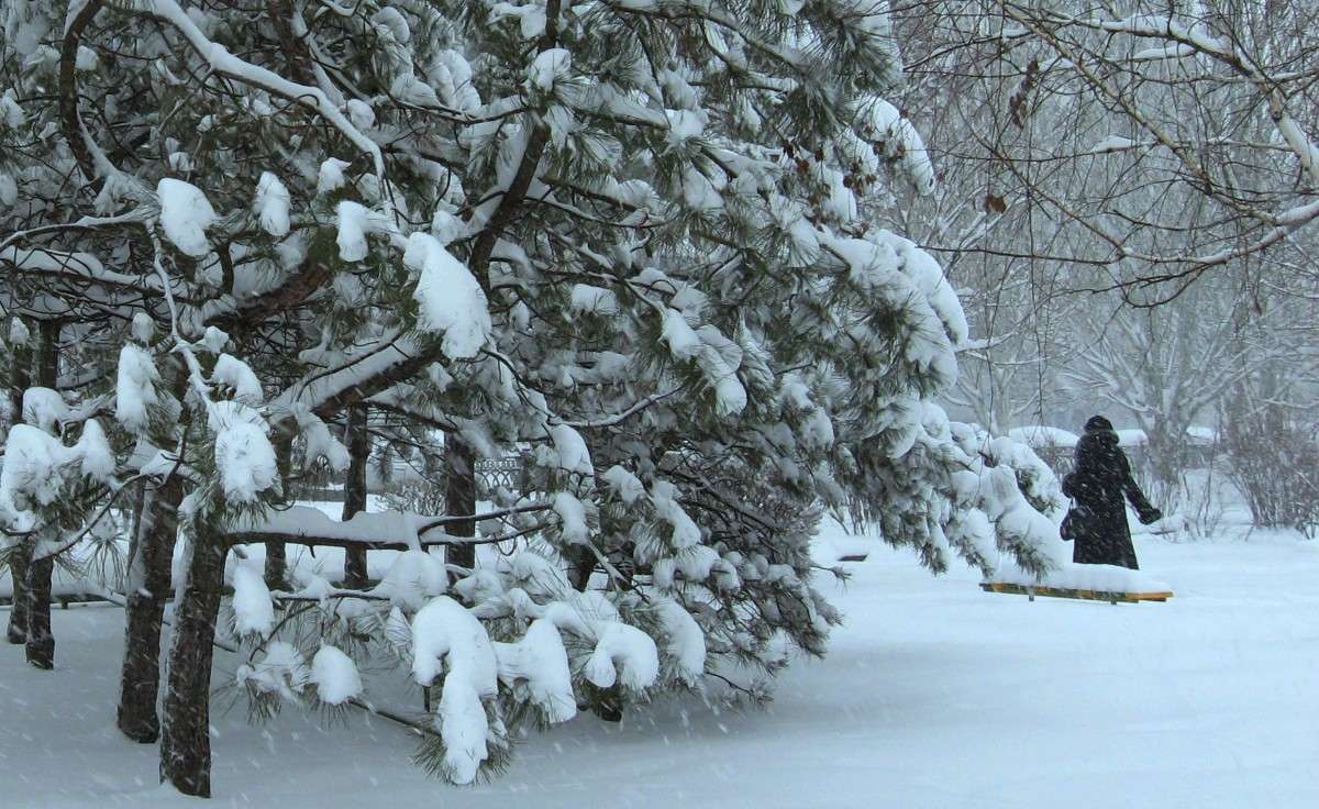 � ���� ���... ����� Natali  ��������� �� PhotoGeek.ru #������ ��� �������