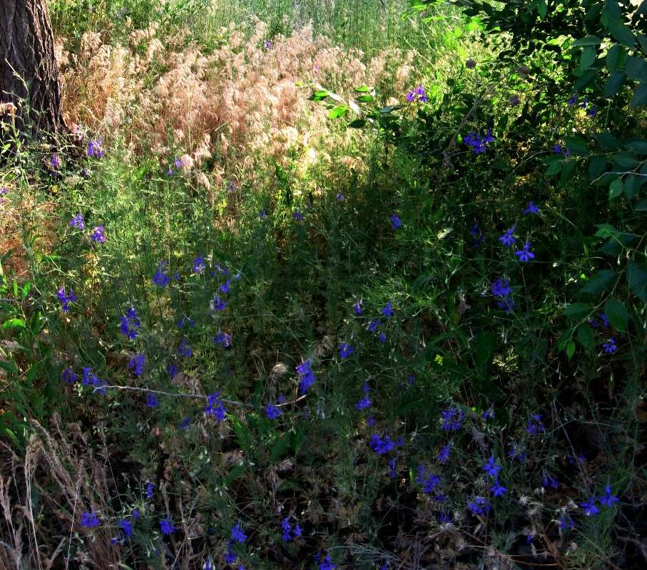 ������� ������� ����� Natali  ��������� �� PhotoGeek.ru #������ ��� ������� #����� ��������������