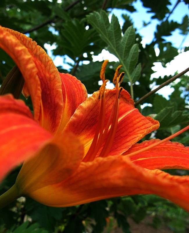 ���������� ����� 1... ����� Natali  ��������� �� PhotoGeek.ru #������ ��� ������� #����� ��������������