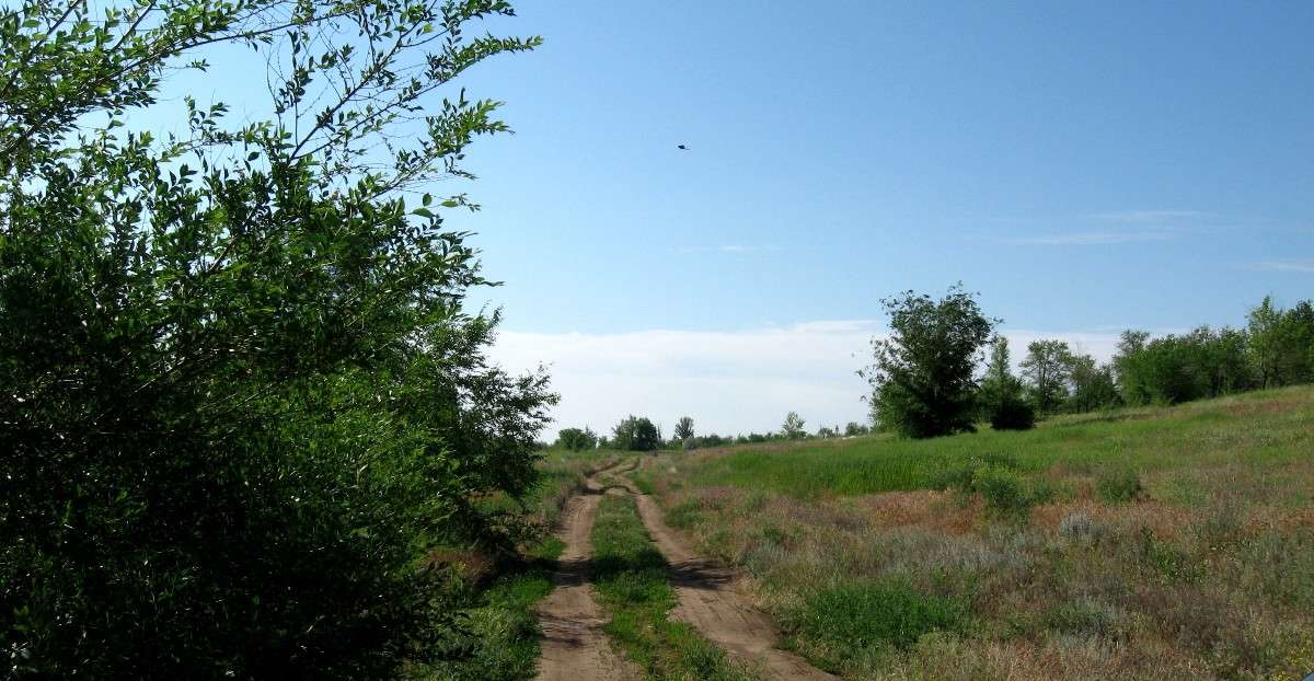 ���.... ����� Natali  ��������� �� PhotoGeek.ru #������ ��� �������