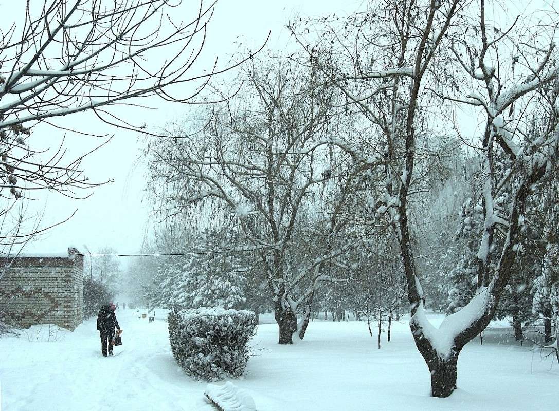 ��������, ��������..... ����� Natali  ��������� �� PhotoGeek.ru #������ ��� �������