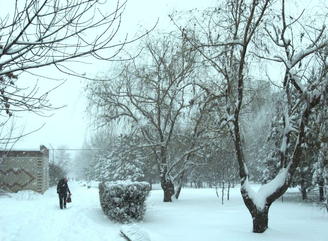 ... ����� Natali  ��������� �� PhotoGeek.ru #������ ��� �������