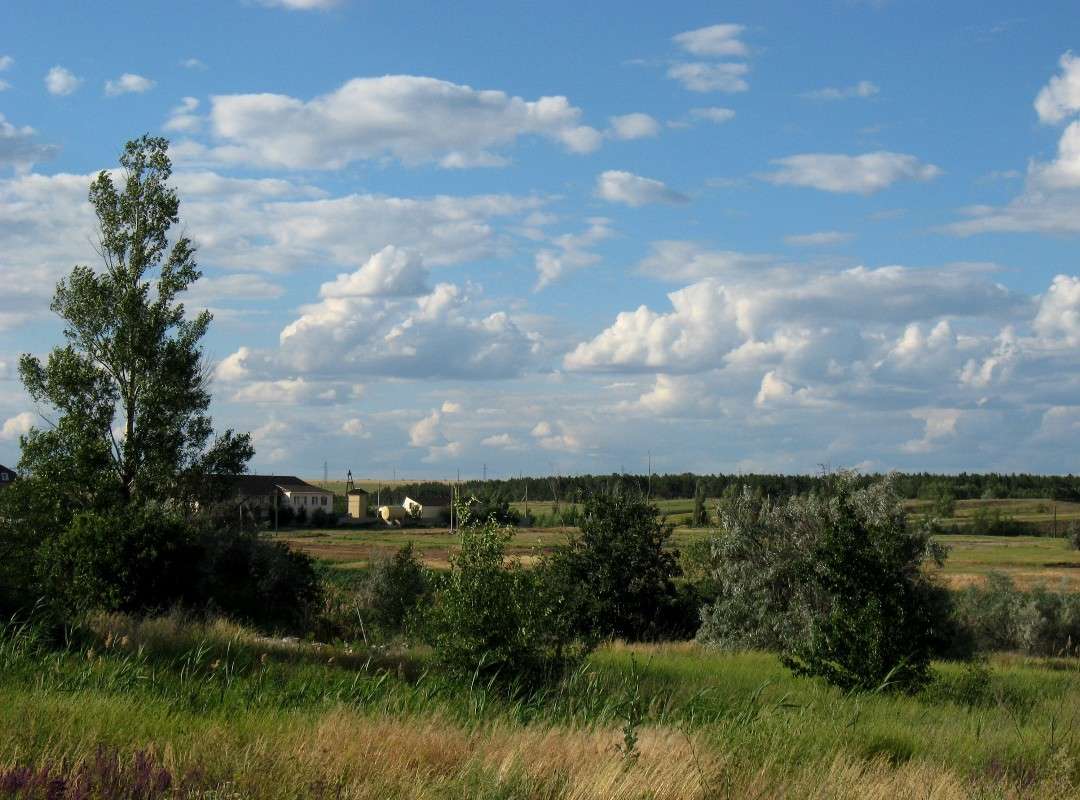 ����... ����� Natali  ��������� �� PhotoGeek.ru #������ ��� ������� #����� ��������������