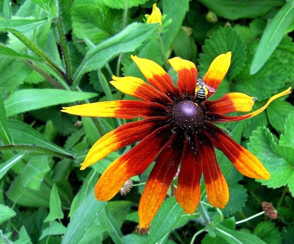 ������ ������ ����� Natali  ��������� �� PhotoGeek.ru #������ ��� ������� #����� ��������������