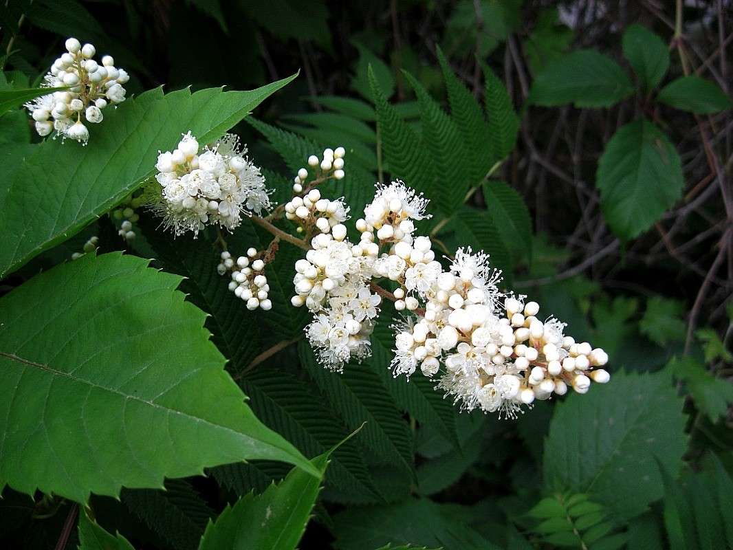 ... ����� Natali  ��������� �� PhotoGeek.ru #������ ��� ������� #����� ��������������