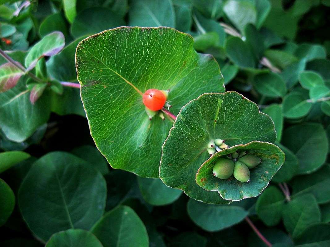 ... ����� Natali  ��������� �� PhotoGeek.ru #������ ��� ������� #����� ��������������