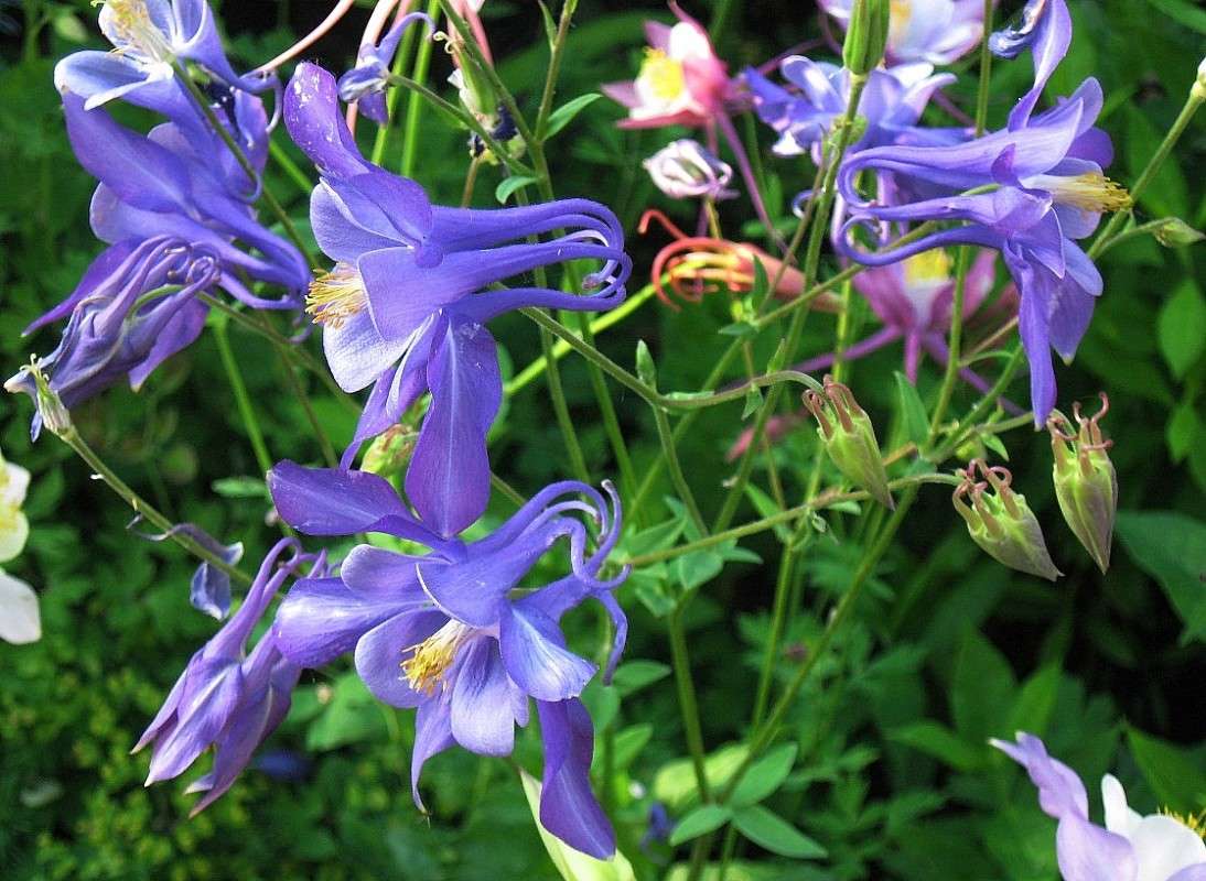 ... ����� Natali  ��������� �� PhotoGeek.ru #������ ��� ������� #����� ��������������