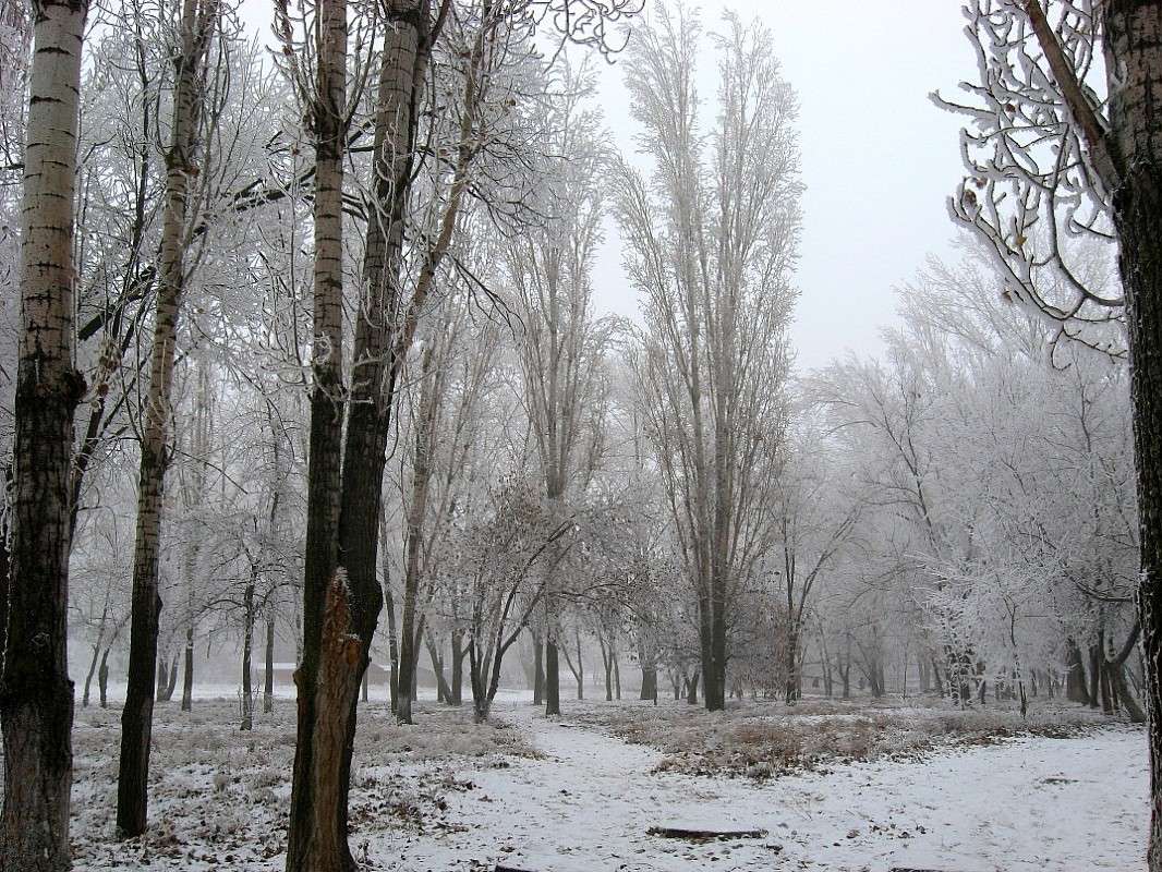 ... ����� Natali  ��������� �� PhotoGeek.ru #������ ��� �������