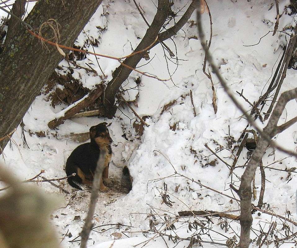 ��� ����� 4. ���� ���� ���� ������ �����������...) ����� Natali  ��������� �� PhotoGeek.ru #�������� ��� #������ ��� ������� #�������� #����� ��� ��� ��������� #����� ��������������