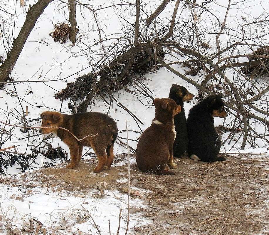 ��� �����. ������� ����� ������� ����� Natali  ��������� �� PhotoGeek.ru #����� #�������� ��� #������ ��� ������� #�������� #����� ��� ��� ���������