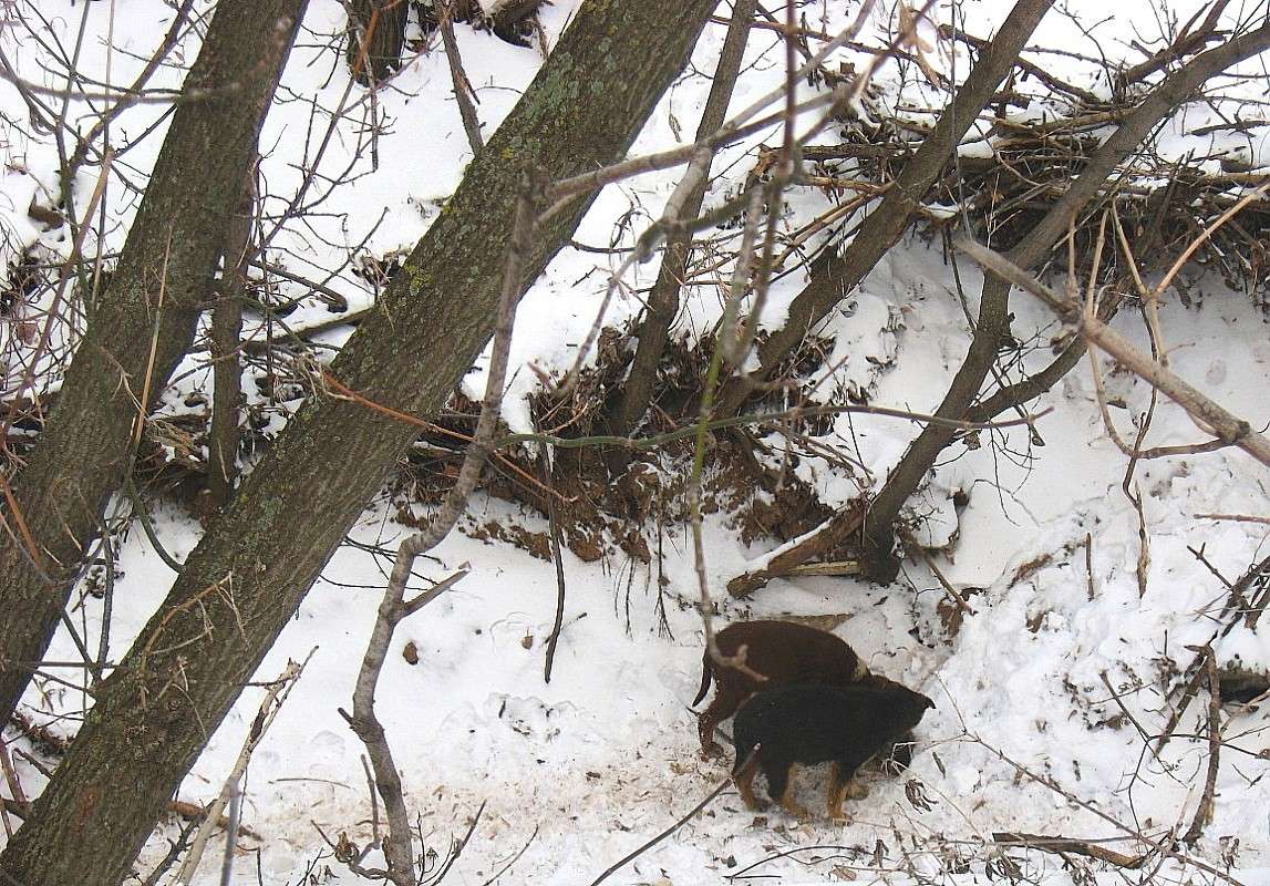 ��� �����...3. ����������....� � ����.... ����� Natali  ��������� �� PhotoGeek.ru #�������� ��� #������ ��� ������� #�������� #����� ��� ��� ��������� #����� ��������������