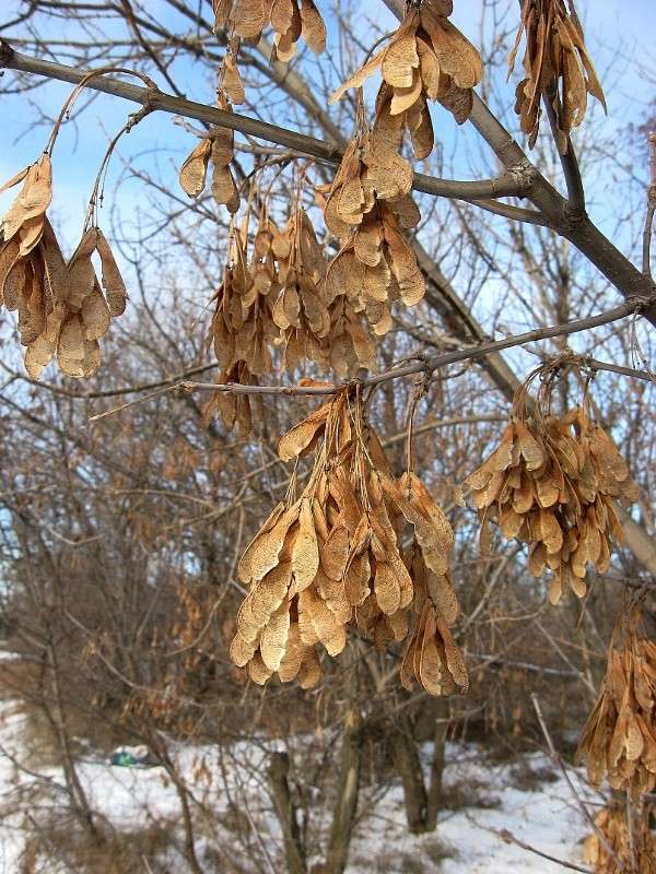 ... ����� Natali  ��������� �� PhotoGeek.ru #������ ��� ������� #����� ��������������