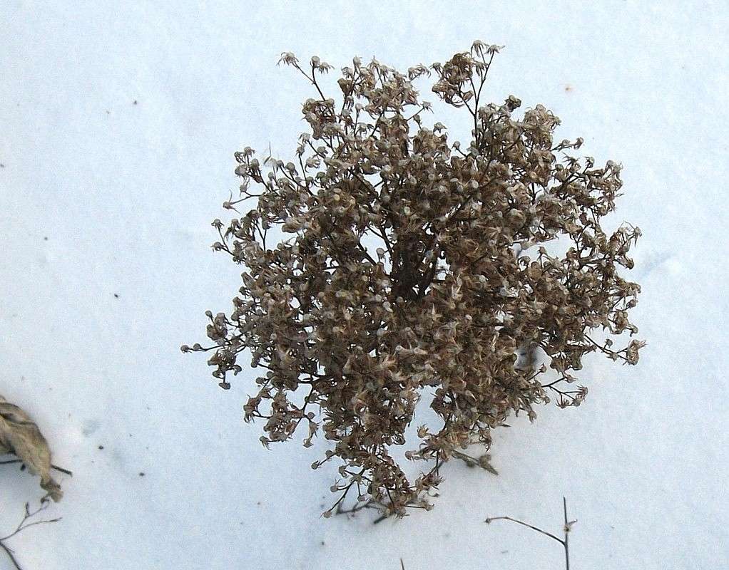 ������ ������� ����� Natali  ��������� �� PhotoGeek.ru #������ ��� ������� #����� ��������������