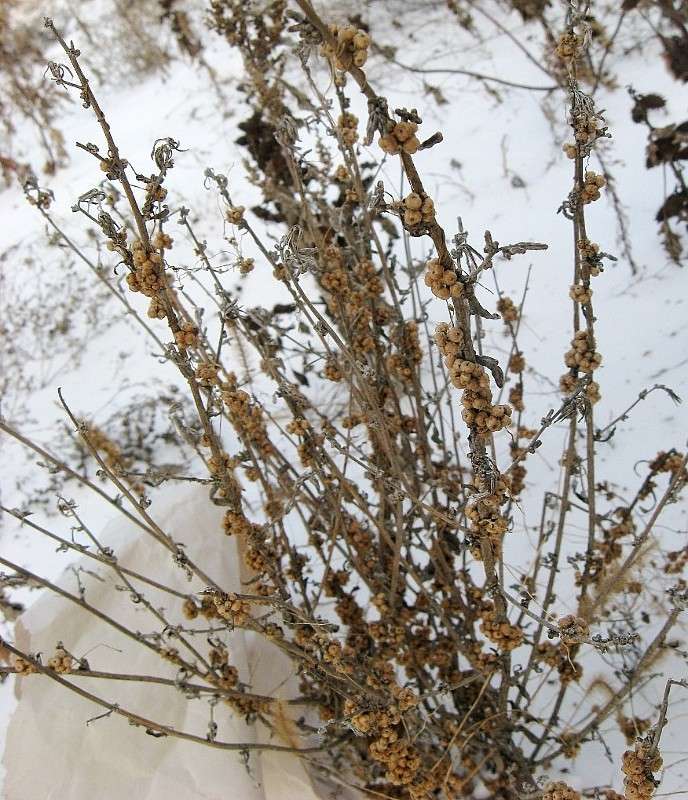 ����� ��� ���� ����� ?....����� ��� ������ ? ))) ����� Natali  ��������� �� PhotoGeek.ru #������ ��� ������� #����� ��������������