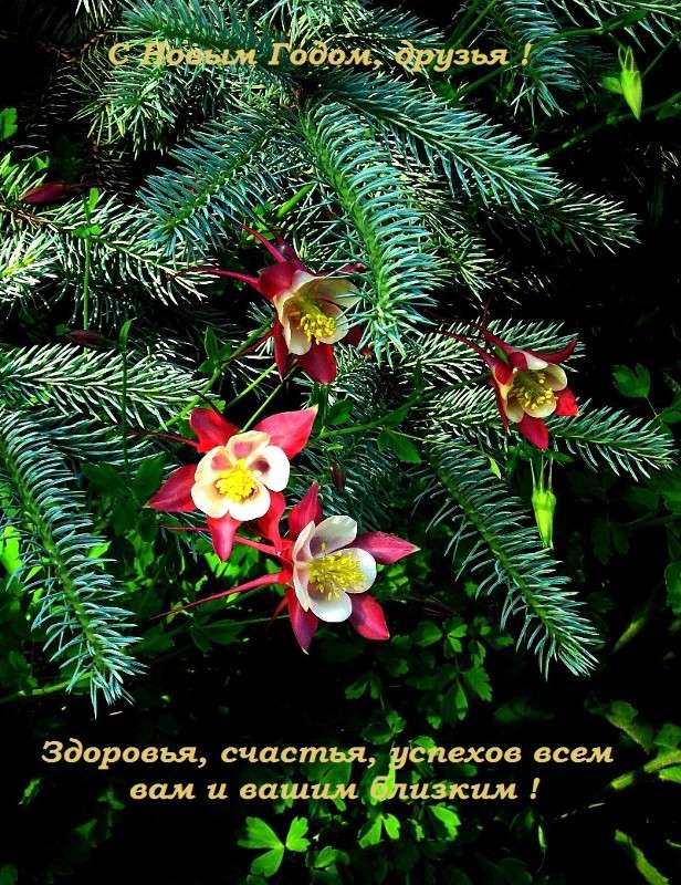 ... ����� Natali  ��������� �� PhotoGeek.ru #������ ��� �������