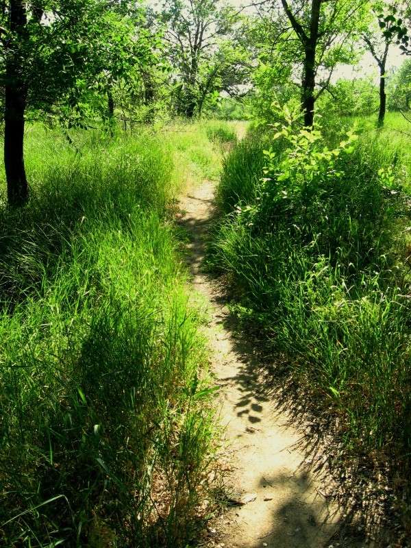 ������� � �� �������� ���� � ����� ���� ! ����� Natali  ��������� �� PhotoGeek.ru #������ ��� ������� #����� ��������������