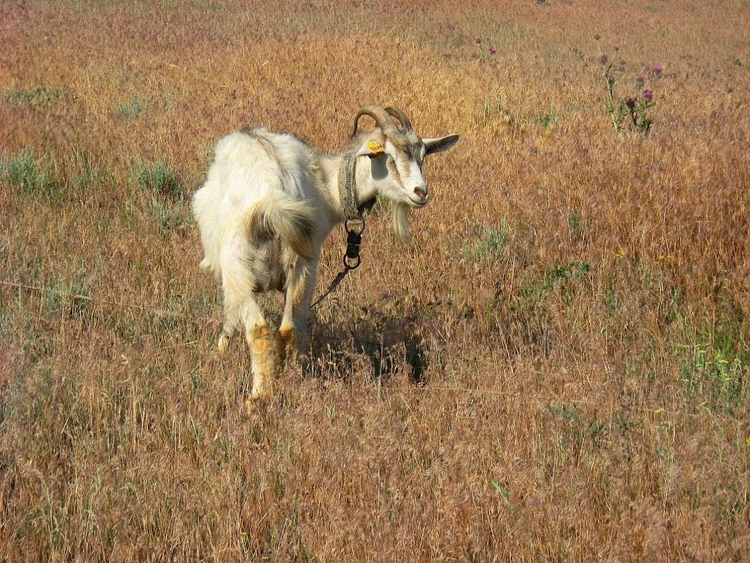 ���������� ������� ! ) ��������.....�...����������� ....) ����� Natali  ��������� �� PhotoGeek.ru #�������� ���