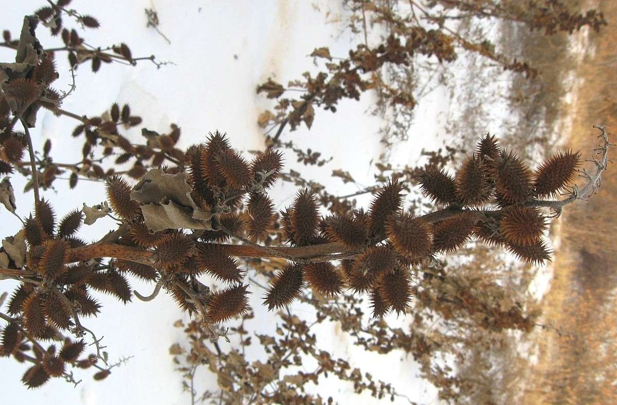 � ������...) ����� Natali  ��������� �� PhotoGeek.ru #����� ��������������