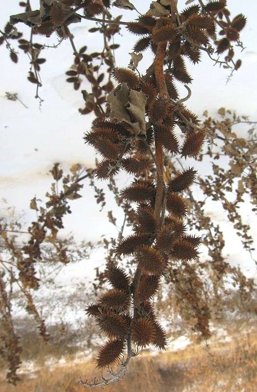 � ������...2 ����� Natali  ��������� �� PhotoGeek.ru #����� ��������������