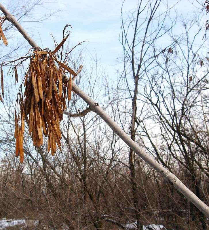 �� ���������...) ����� Natali  ��������� �� PhotoGeek.ru #������ ��� ������� #����� ��������������