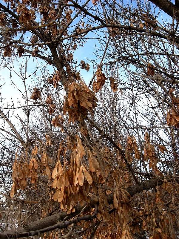 �� ���������...)...2 ����� Natali  ��������� �� PhotoGeek.ru #������ ��� ������� #����� ��������������