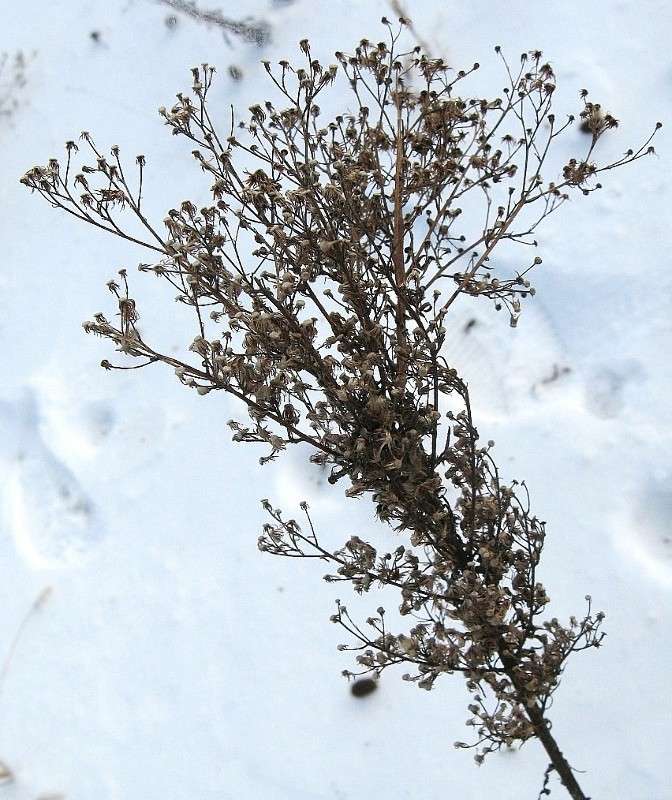 �� ���������...)...3 ����� Natali  ��������� �� PhotoGeek.ru #������ ��� ������� #����� ��������������