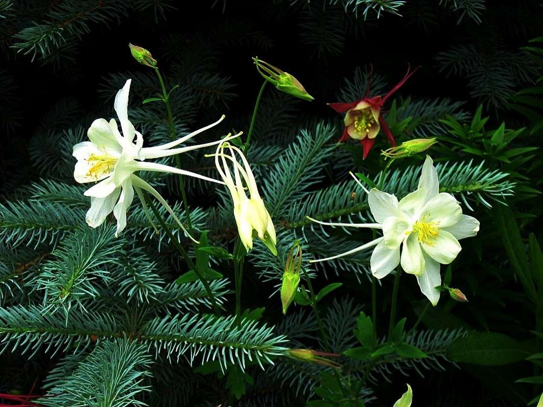 ... ����� Natali  ��������� �� PhotoGeek.ru #������ ��� ������� #����� ��������������