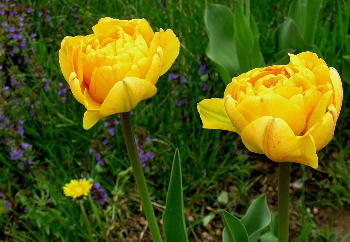 ... ����� Natali  ��������� �� PhotoGeek.ru #������ ��� ������� #����� ��������������