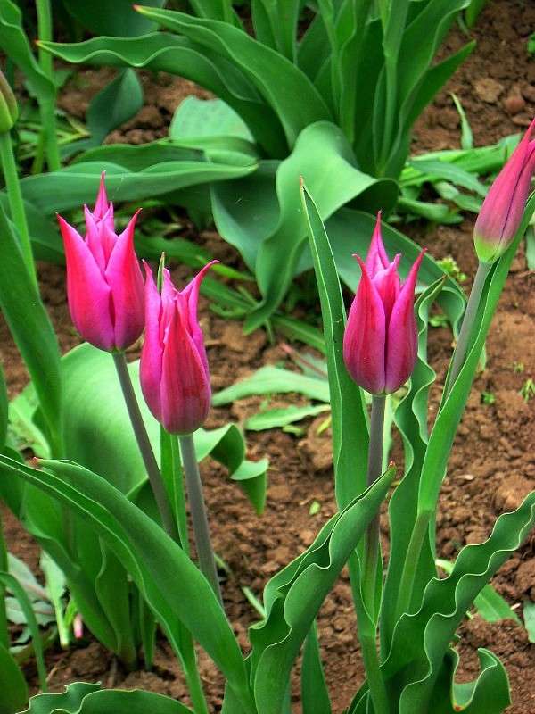 ... ����� Natali  ��������� �� PhotoGeek.ru #������ ��� ������� #����� ��������������