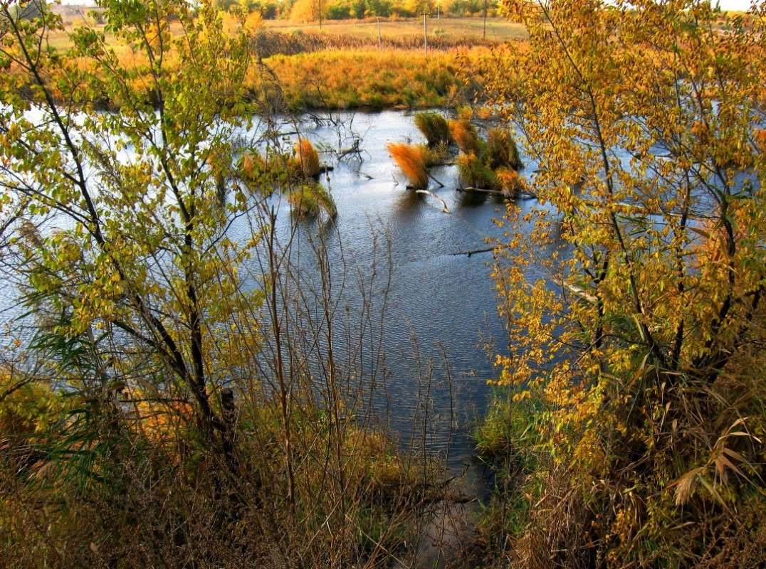 ����� ������� ����� Natali  ��������� �� PhotoGeek.ru #������ ��� ������� #����� ��������������