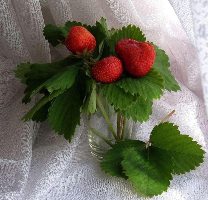 ��������� ���� ����� Natali  ��������� �� PhotoGeek.ru #�������� ���������� #�������������