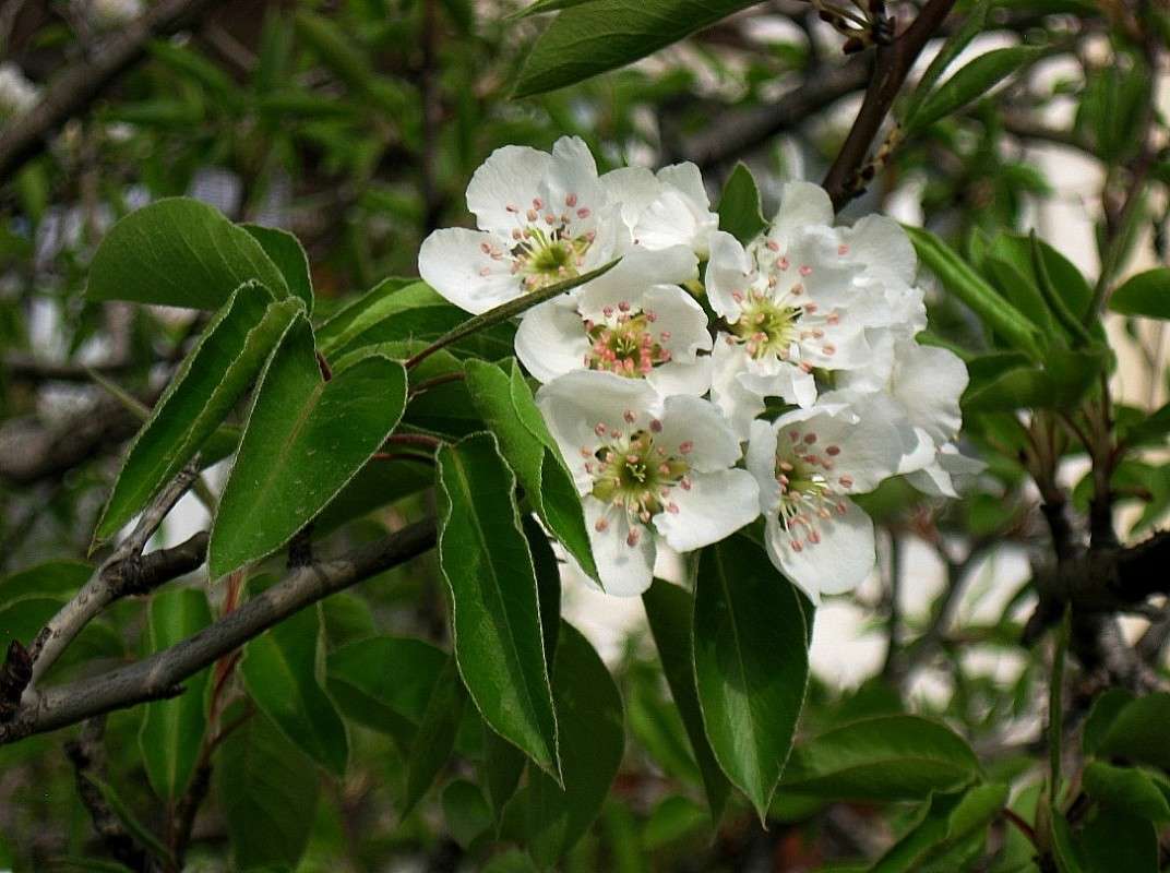 ��� ����� ����� Natali  ��������� �� PhotoGeek.ru #������ ��� ������� #����� ��������������