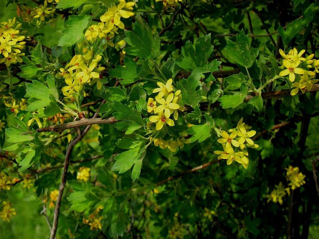 �� ���� ������... ) ����� Natali  ��������� �� PhotoGeek.ru #������ ��� ������� #����� ��������������