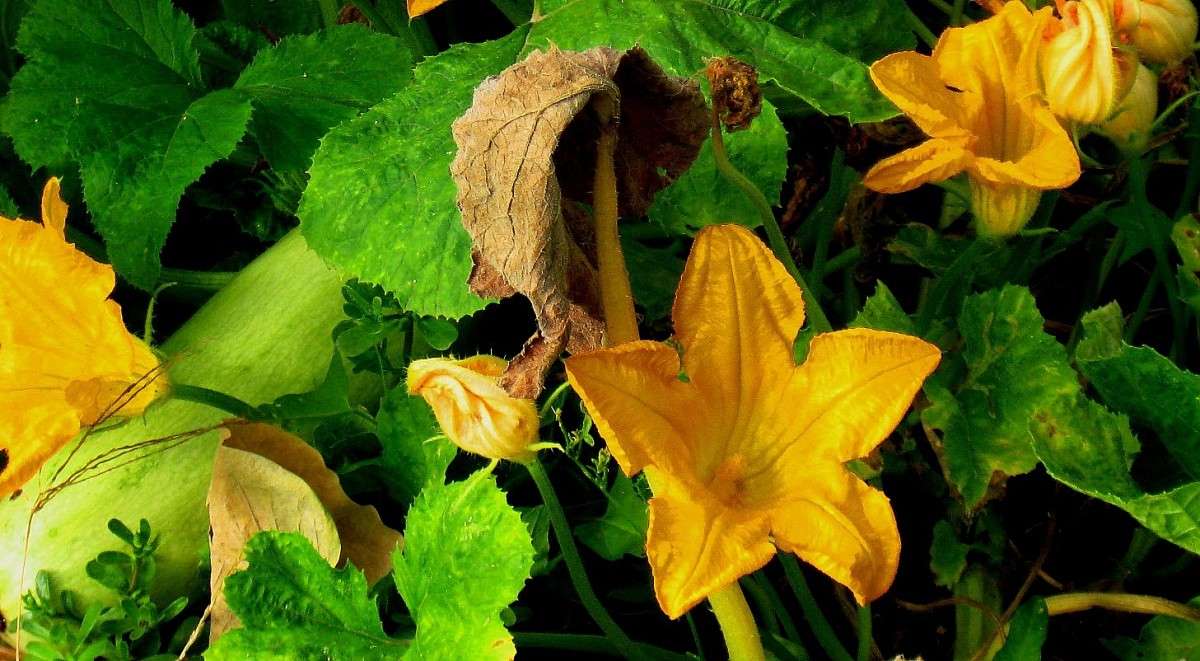 ... ����� Natali  ��������� �� PhotoGeek.ru #������ ��� ������� #����� ��������������