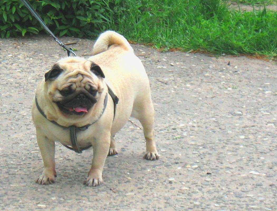 ... ����� Natali  ��������� �� PhotoGeek.ru #�������� ���