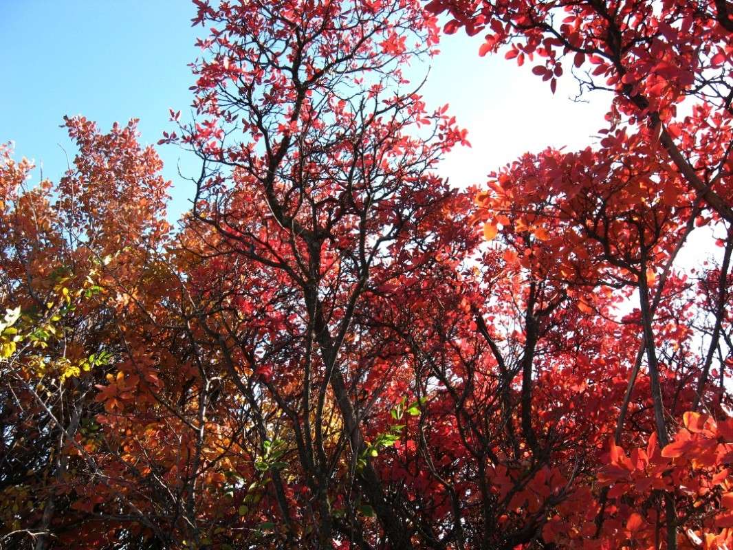 ... ����� Natali  ��������� �� PhotoGeek.ru #������ ��� ������� #����� ��������������