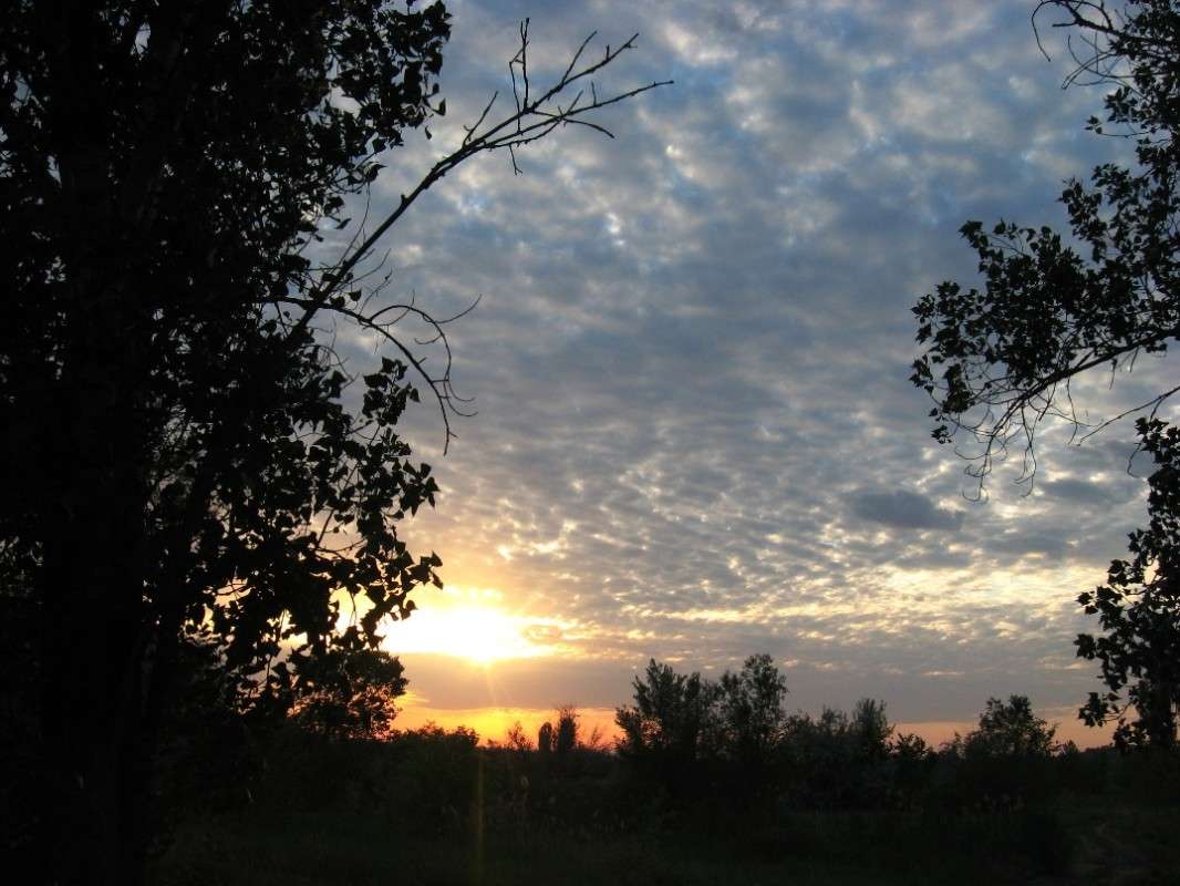 ... ����� Natali  ��������� �� PhotoGeek.ru #������ ��� ������� #����� ��������������