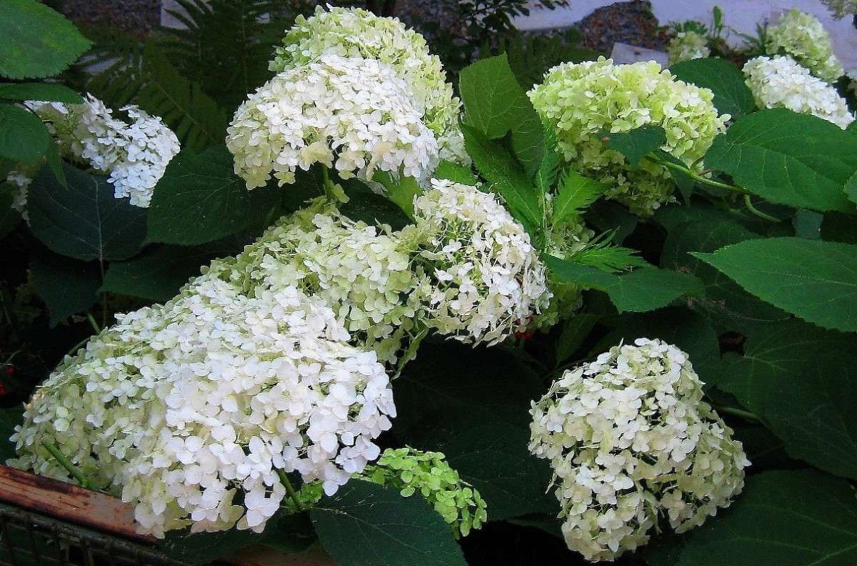 ... ����� Natali  ��������� �� PhotoGeek.ru #������ ��� ������� #����� ��������������