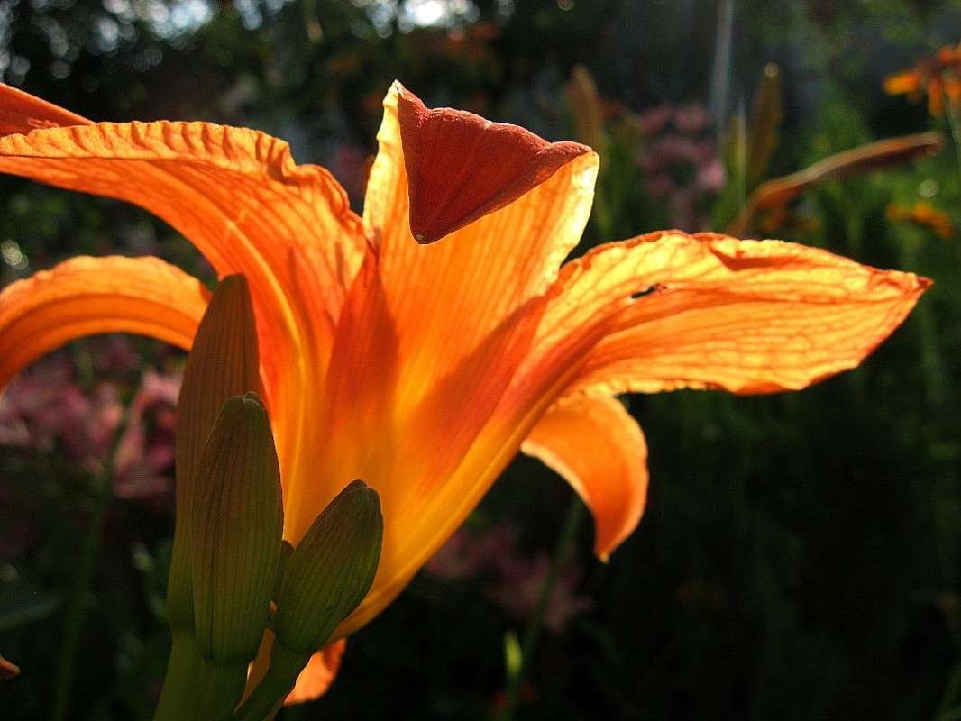 ����������� �� ������...) ����� Natali  ��������� �� PhotoGeek.ru #������ ��� ������� #����� ��������������